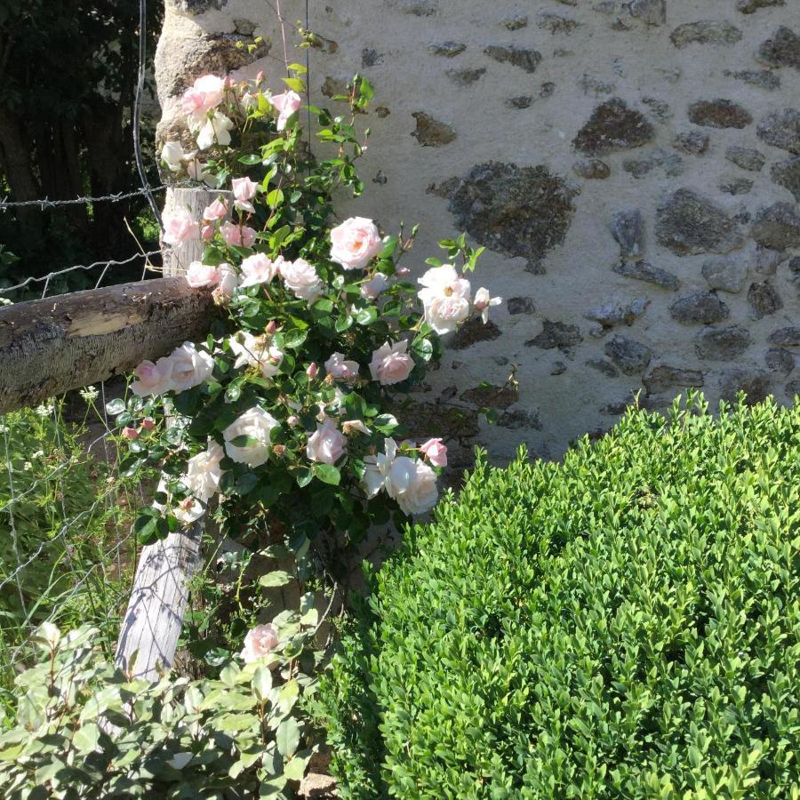 Bed and Breakfast Les Epis Du Vent Adilly Exterior foto